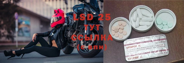 стаф Белокуриха
