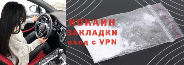 индика Беломорск