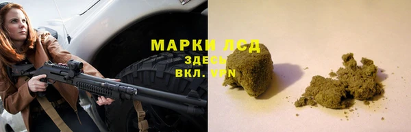 индика Беломорск