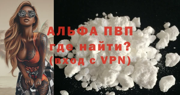 стаф Белокуриха