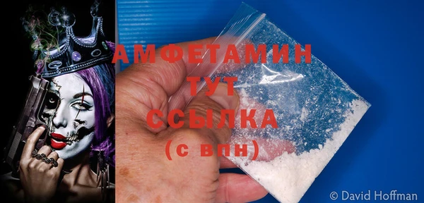 стаф Белокуриха