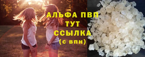 стаф Белокуриха